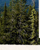 Puma Ridge Retreat Idaho Safe Mountain Retreat Concept Survival